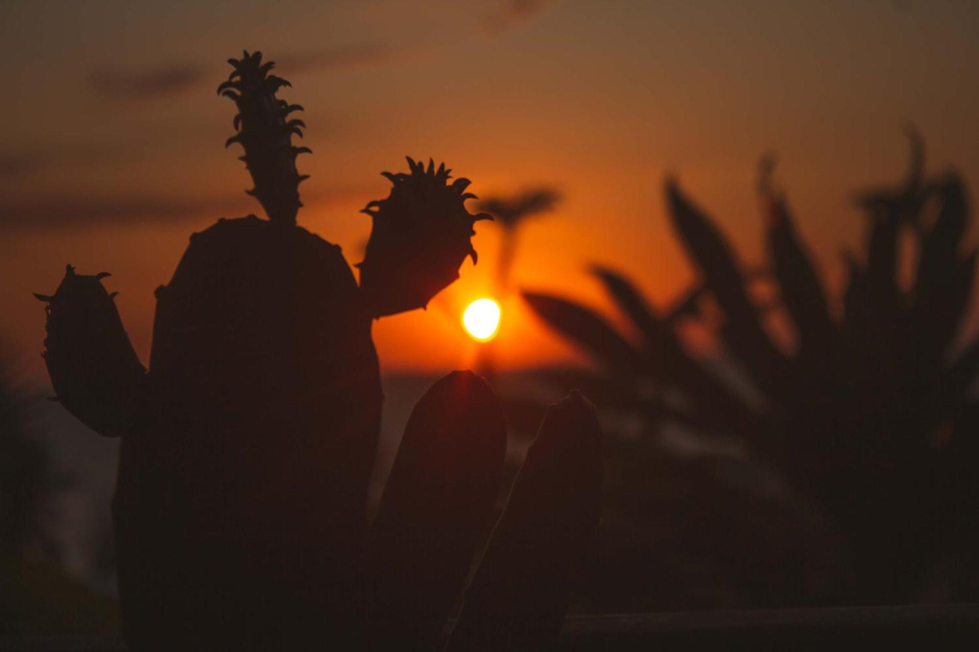 Coucher De Soleil أمباتولواكا المظهر الخارجي الصورة
